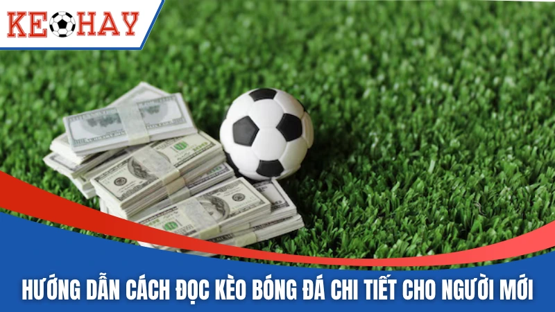 Hướng dẫn cách đọc kèo bóng đá chuẩn chỉ cho người mới