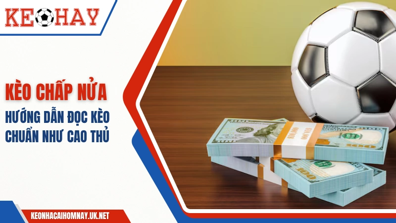 Chấp Nửa Trái Là Gì – Hướng Dẫn Đọc Kèo Chuẩn Như Cao Thủ