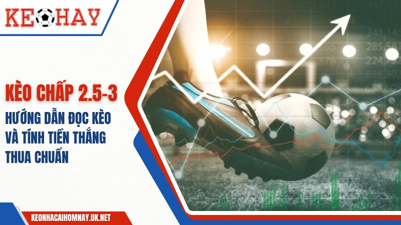 Hướng Dẫn Đọc Kèo 2.5-3 Chấp Trong Cá Cược Bóng Đá