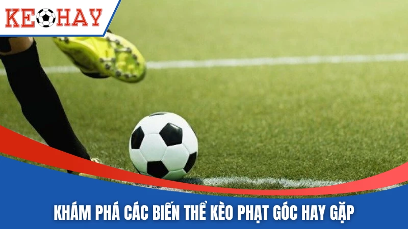 Khám phá các biến thể kèo phạt góc hay gặp