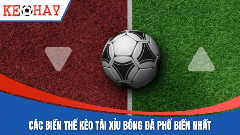 Các biến thể kèo tài xỉu bóng đá phổ biến nhất