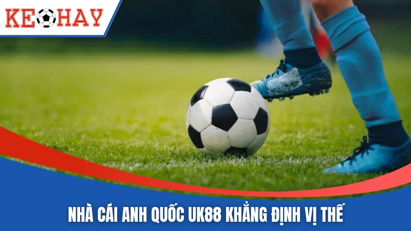 Tổng quan về soi kèo bóng cỏ người mới cần biết