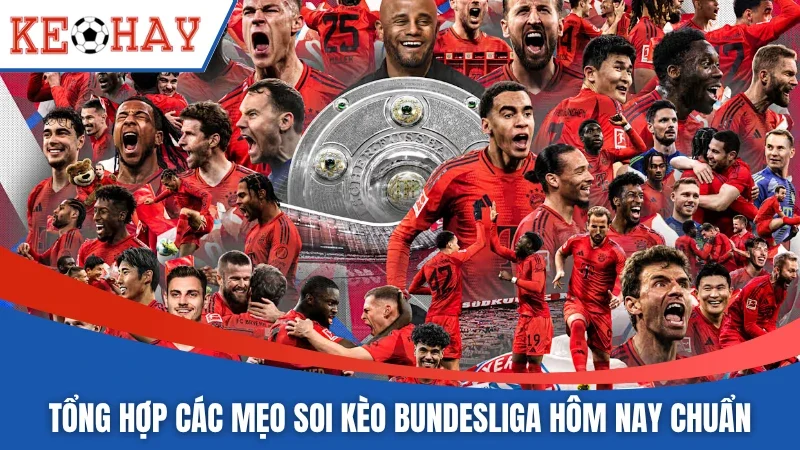 Tổng hợp các mẹo soi kèo bundesliga hôm nay chuẩn
