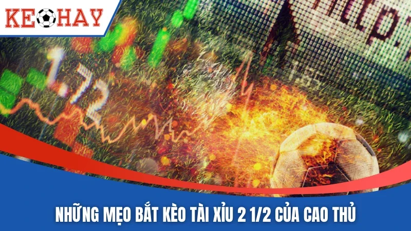 Những mẹo bắt kèo tài xỉu 2 1/2 của cao thủ