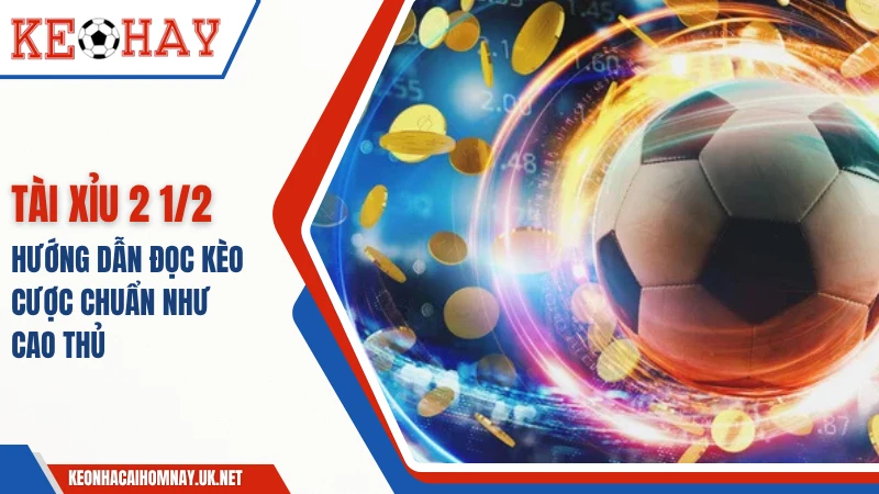 Tài Xỉu 2 1/2 – Hướng Dẫn Đọc Kèo Cược Chuẩn Như Cao Thủ