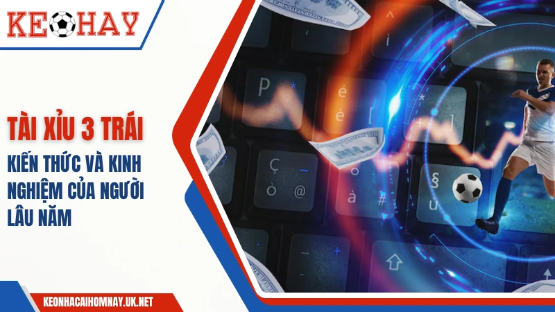 Tài Xỉu 3 Trái – Kiến Thức Và Kinh Nghiệm Của Người Lâu Năm