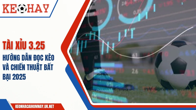 Tài Xỉu 3.25 – Hướng Dẫn Đọc Kèo Và Chiến Thuật Bất Bại