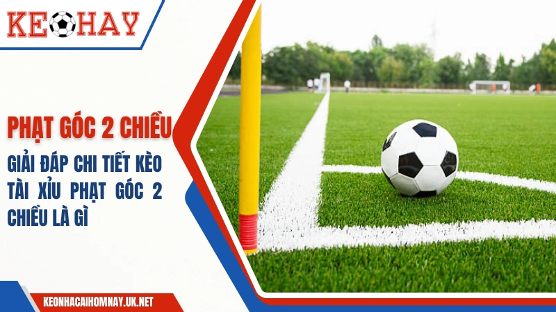 Tài Xỉu Phạt Góc 2 Chiều Là Gì – Giải Đáp Chi Tiết A Đến Z